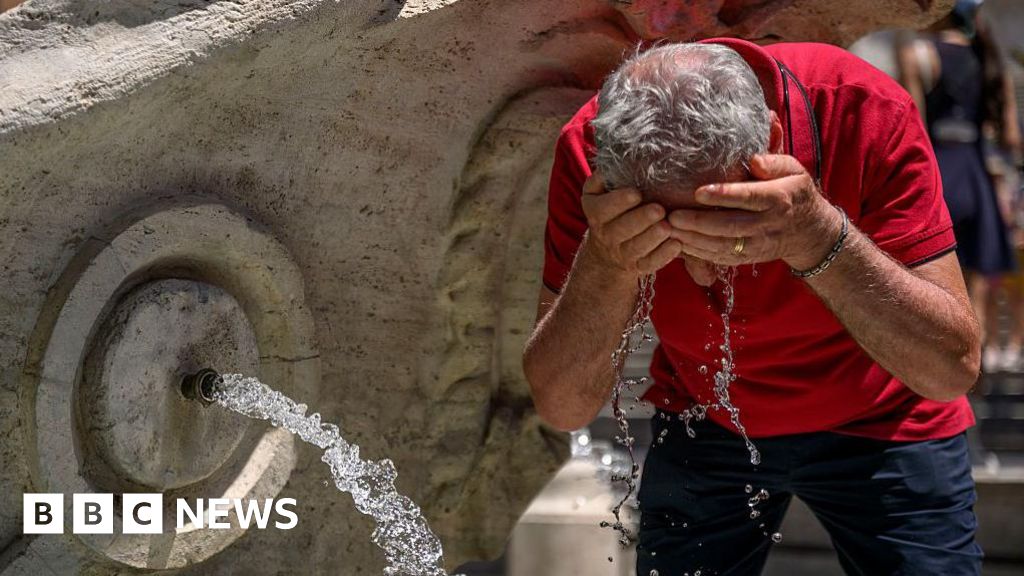 5db64fd0 2487 11f1 a673 e3b236a15253.jpg