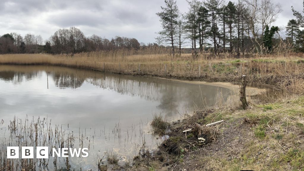 5e691a90 1ee0 11f1 a54d ddcb0c2f34df.jpg