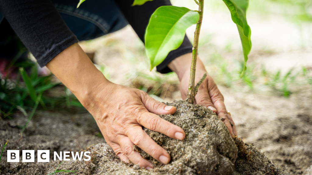 603e4cd0 1bcc 11f1 964c 87b629a369ca.png