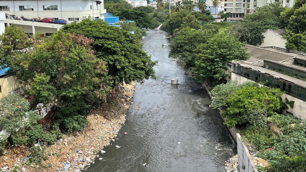 6205 27 6 2021 18 27 45 5 E8D3A107 4C2C 4AA6 9933 D3B62B06DE43.JPEG