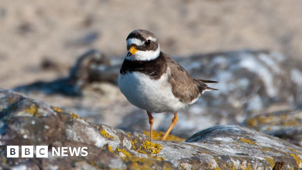 68277b00 2901 11f1 be8b 2136d1c912ba.jpg