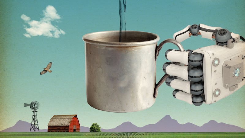 The magic valley’s next trick 3 8b39a741514be7131f035bc4227993f9.jpeg