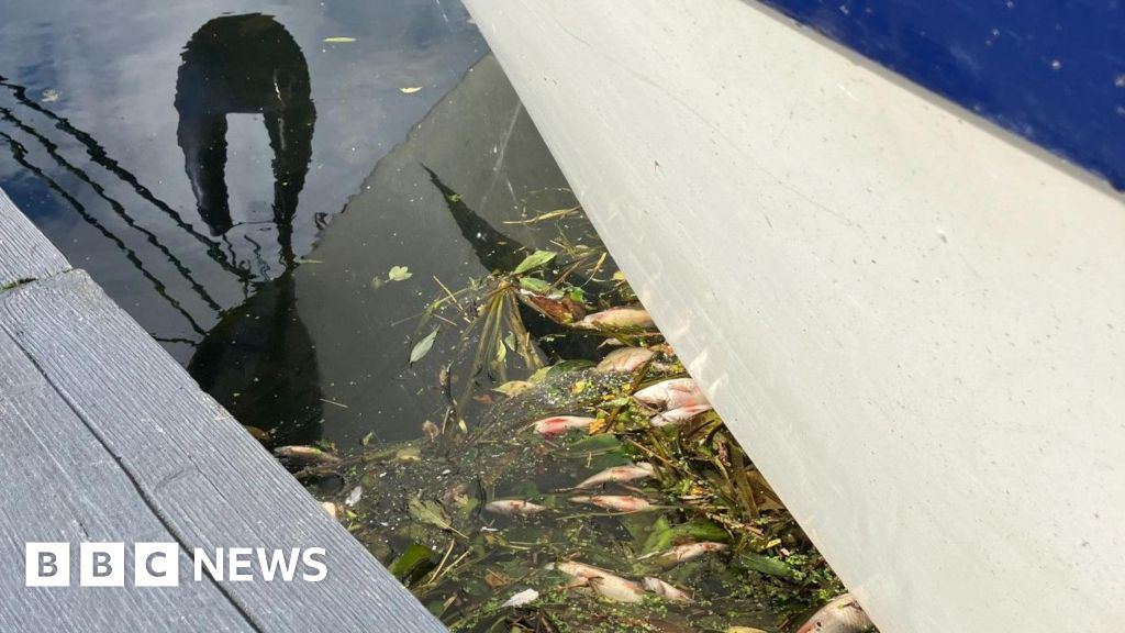 9c83f660 23db 11f1 8afd 2d0cf3dc7503.jpg