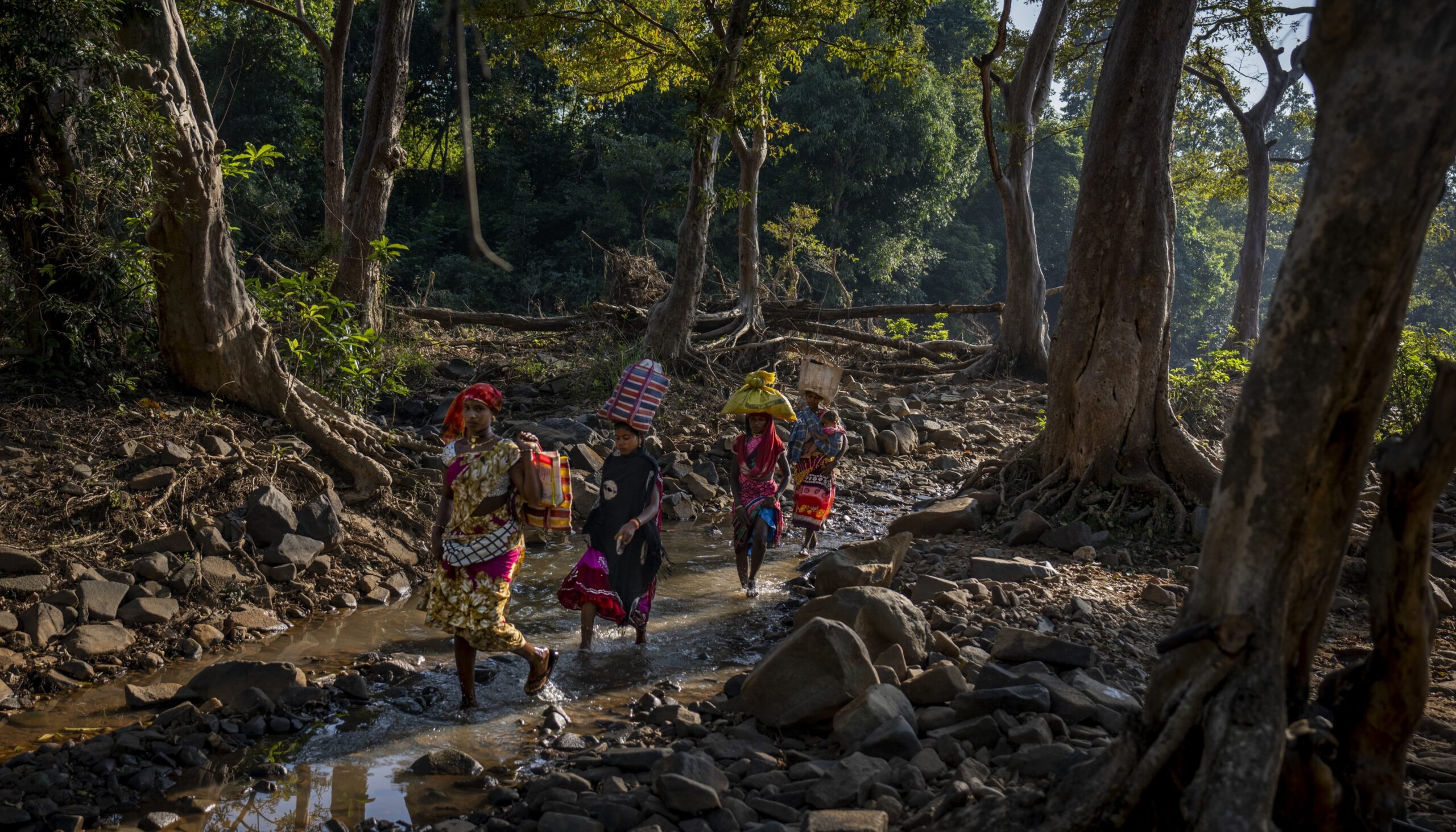 AP22341272160717 crop scaled.jpg