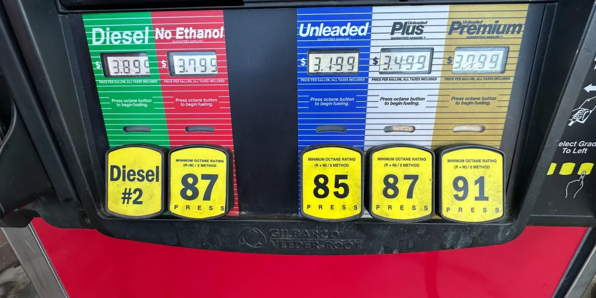 AP26063796576695 e1772981798389.jpg