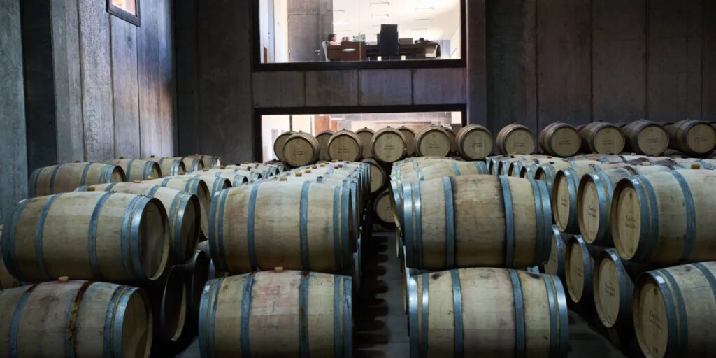 Argentines once drank 90 liters of wine a year. Now they're down to 15 — and 1,100 vineyards have already closed 1 AP26071686610374 e1773866378794.jpg