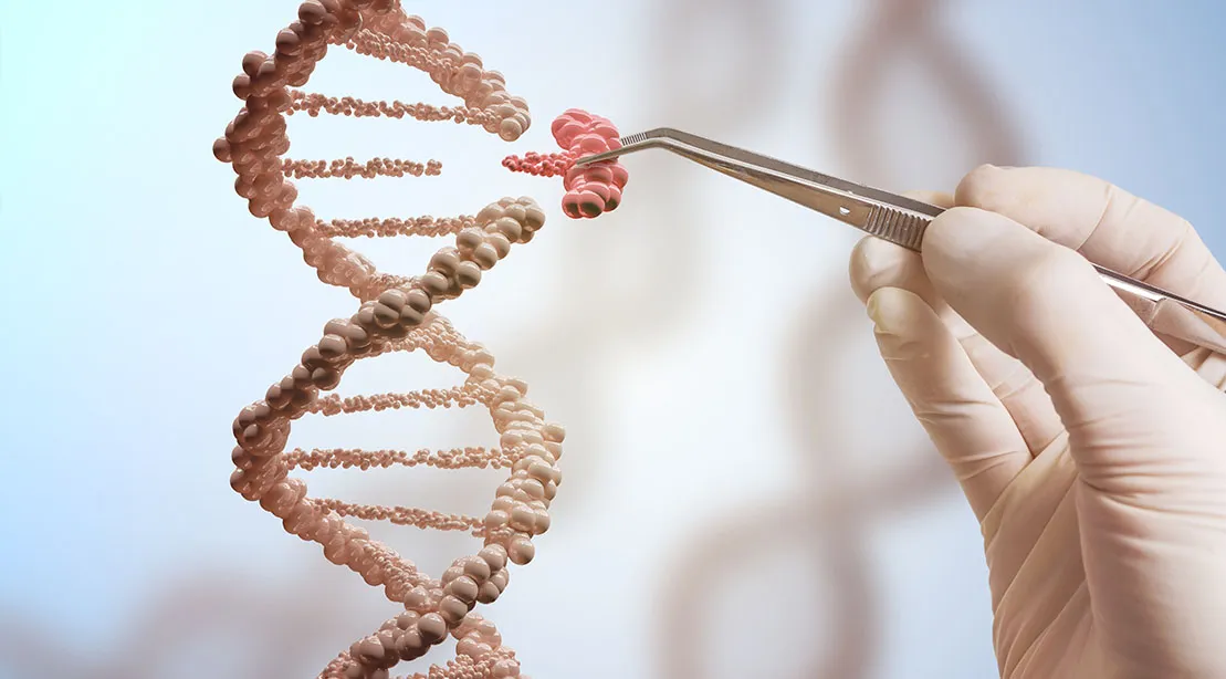 Adding a piece of genetic material into DNA.jpg