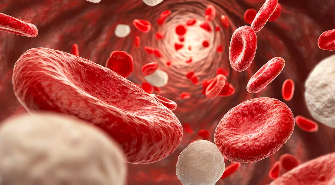 Blood cells releasing toxins from the EBO2 therapy.jpg