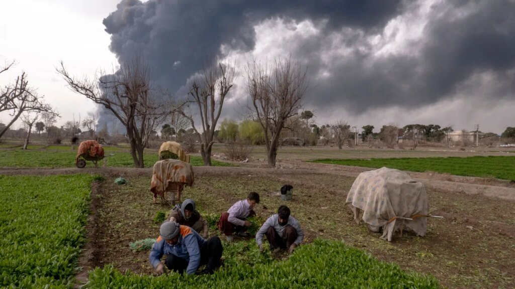 MCKIBBEN IRAN OIL GettyImages 2265402730.jpg