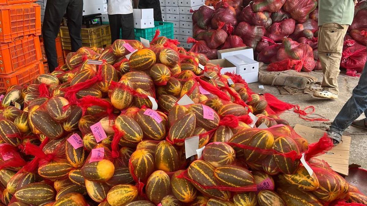 PHOTO 2026 03 05 14 57 06.jpg