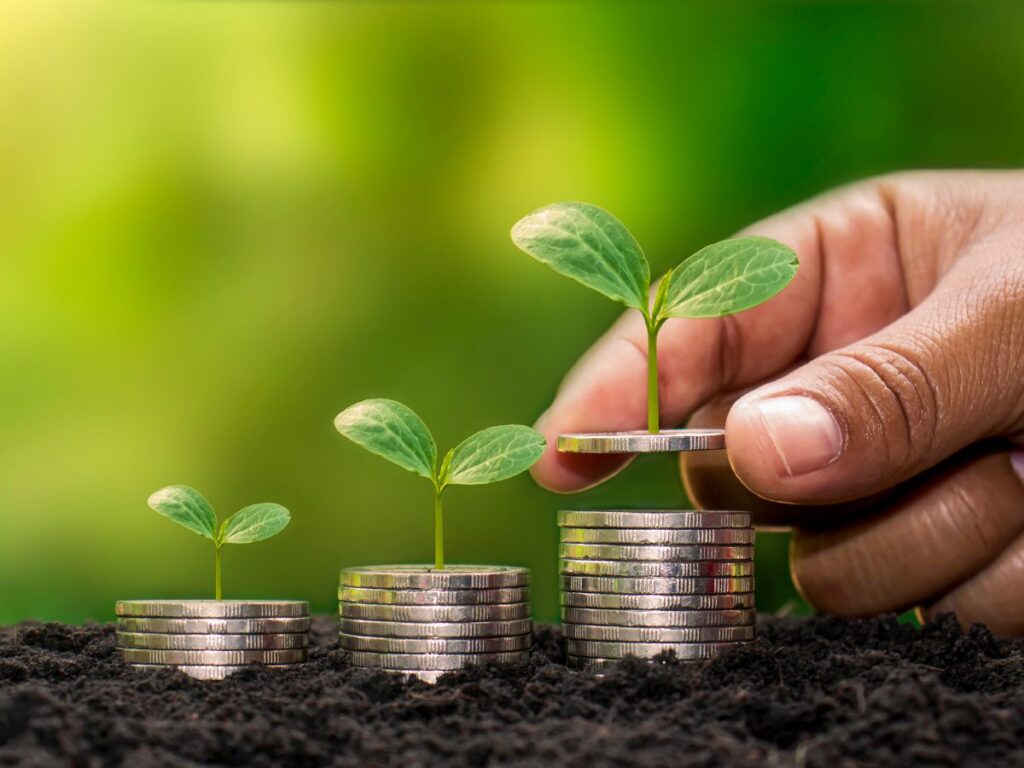 Seed fundraising.jpeg