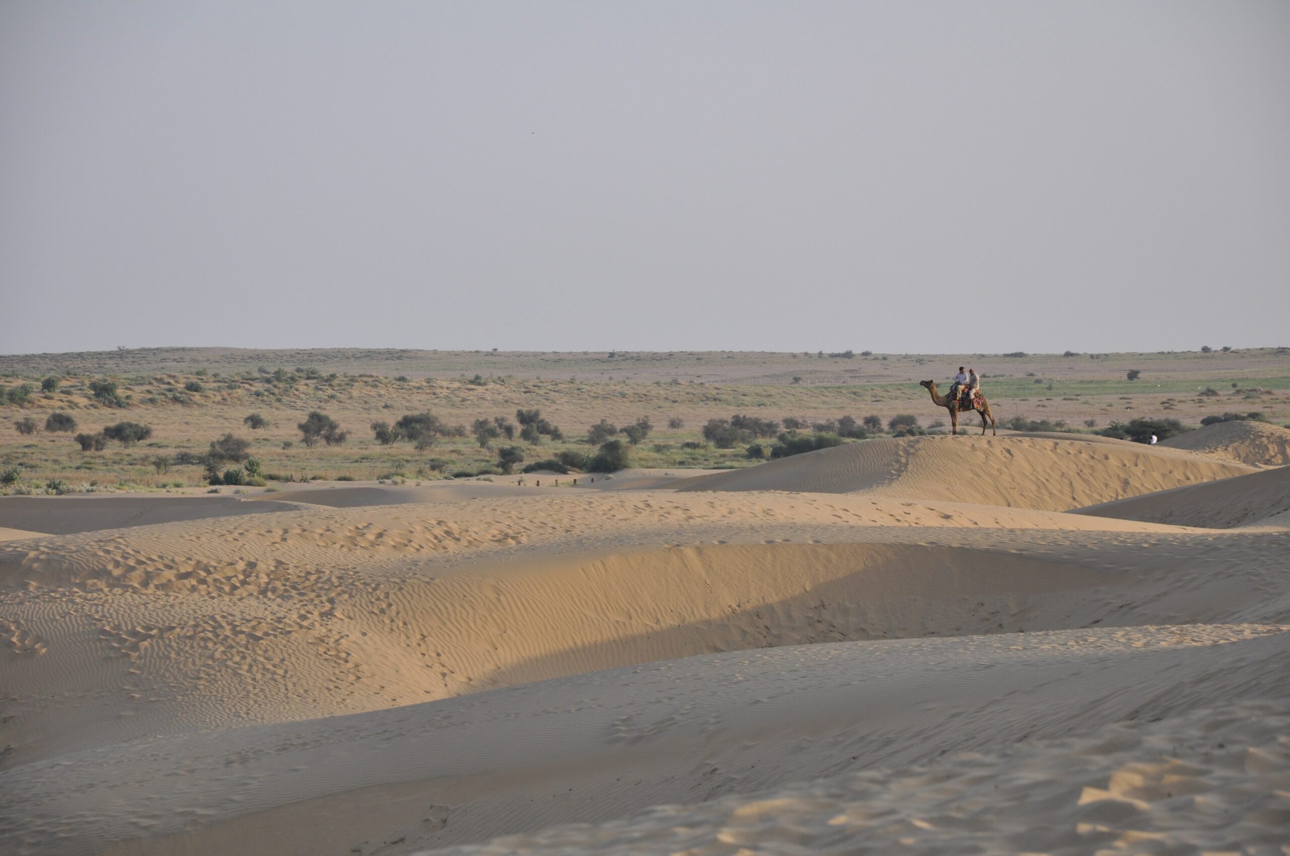 Thar desert 1 scaled.jpg