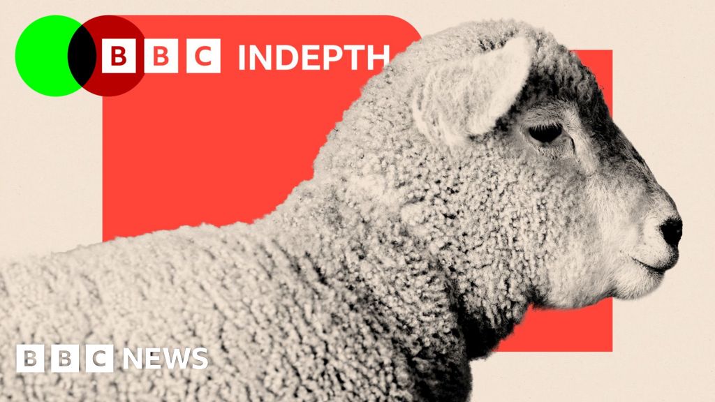 Sheep are disappearing from the UK's hills 1 afe90dd0 17e2 11f1 9120 a910fc22c6ac.jpg