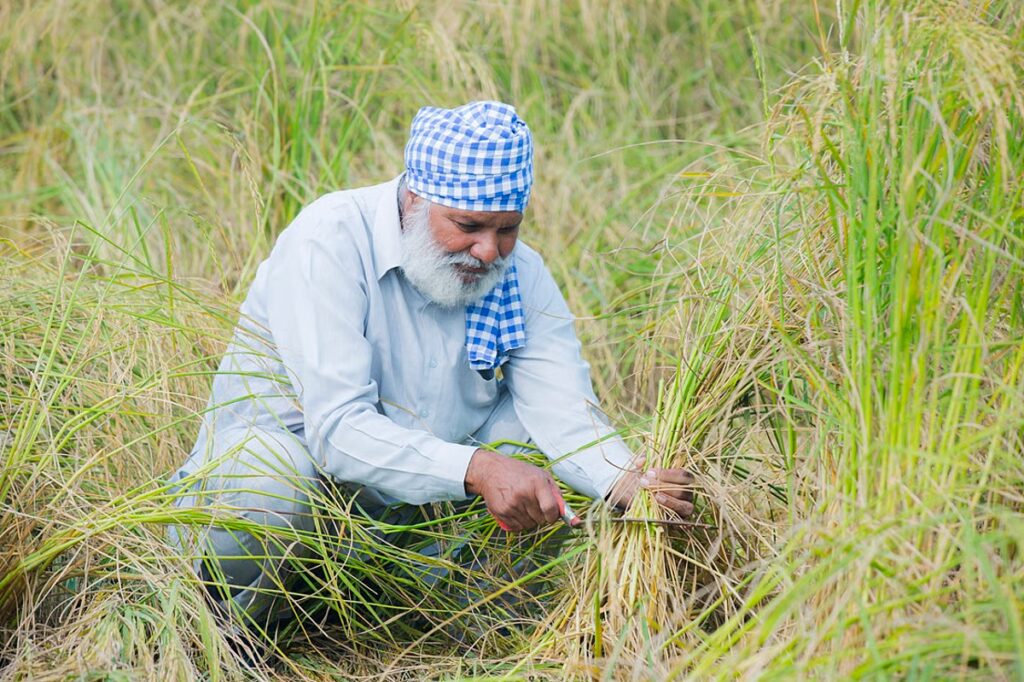 downtoearth2F2026 03 212Fjvkipmpy2FWater and food.jpg