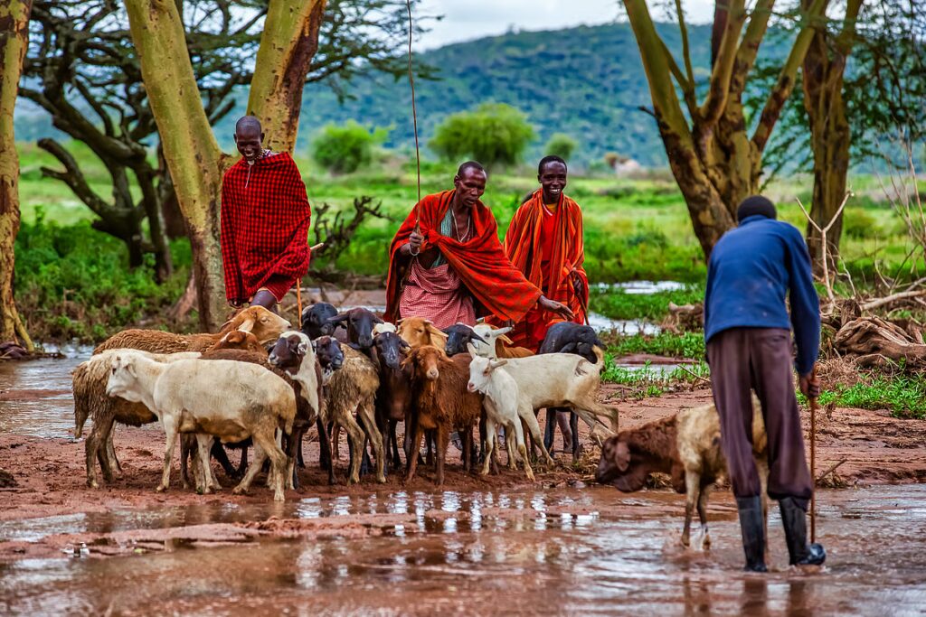 Kenya faces hotter, riskier year after one of its warmest years in 2025 1 downtoearth2F2026 03 262Flfqe6txw2FiStock 1014292150.jpg