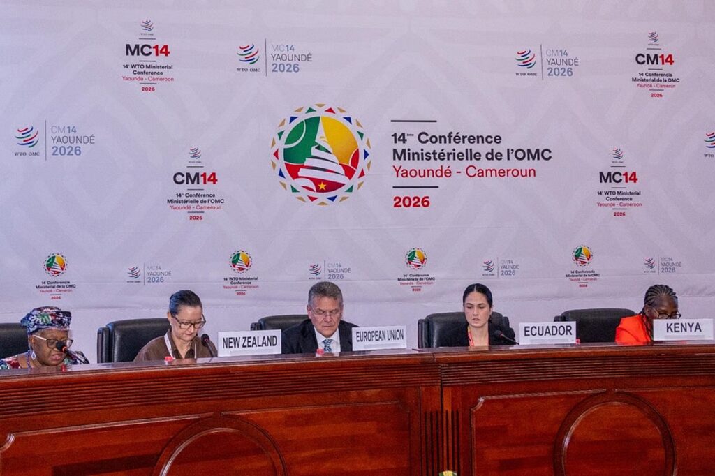 downtoearth2F2026 03 282F6hv43elf2FWTO MC14.jpg