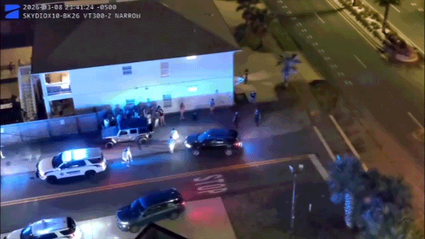 fl spring break gif 02.gif