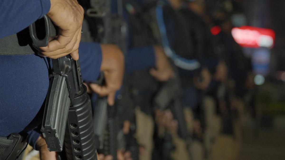 iStock 1296638903.jpg