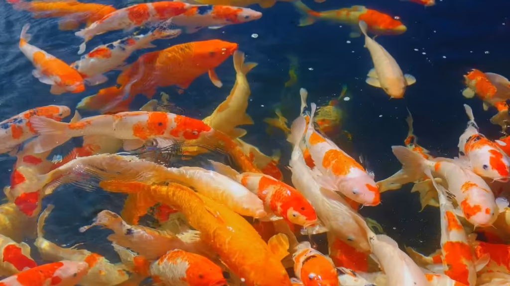 msid 129759896imgsize 97222.cms .avif