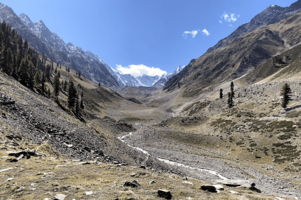 ss1 e1773642993931 1200x800.png