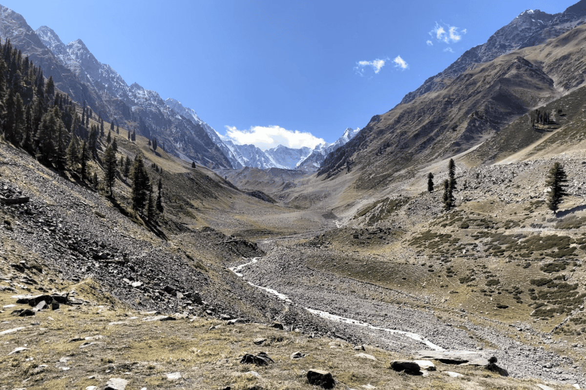 ss1 e1773642993931 1200x800.png