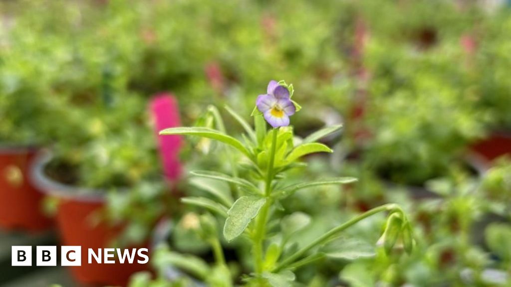 096e4ed0 2de9 11f1 934f 036468834728.jpg