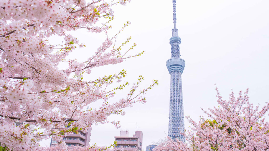 Asia-Pacific markets mostly rise in Easter trade on hopes for Hormuz reopening 1 102987948 Tokyo airbnb.jpg