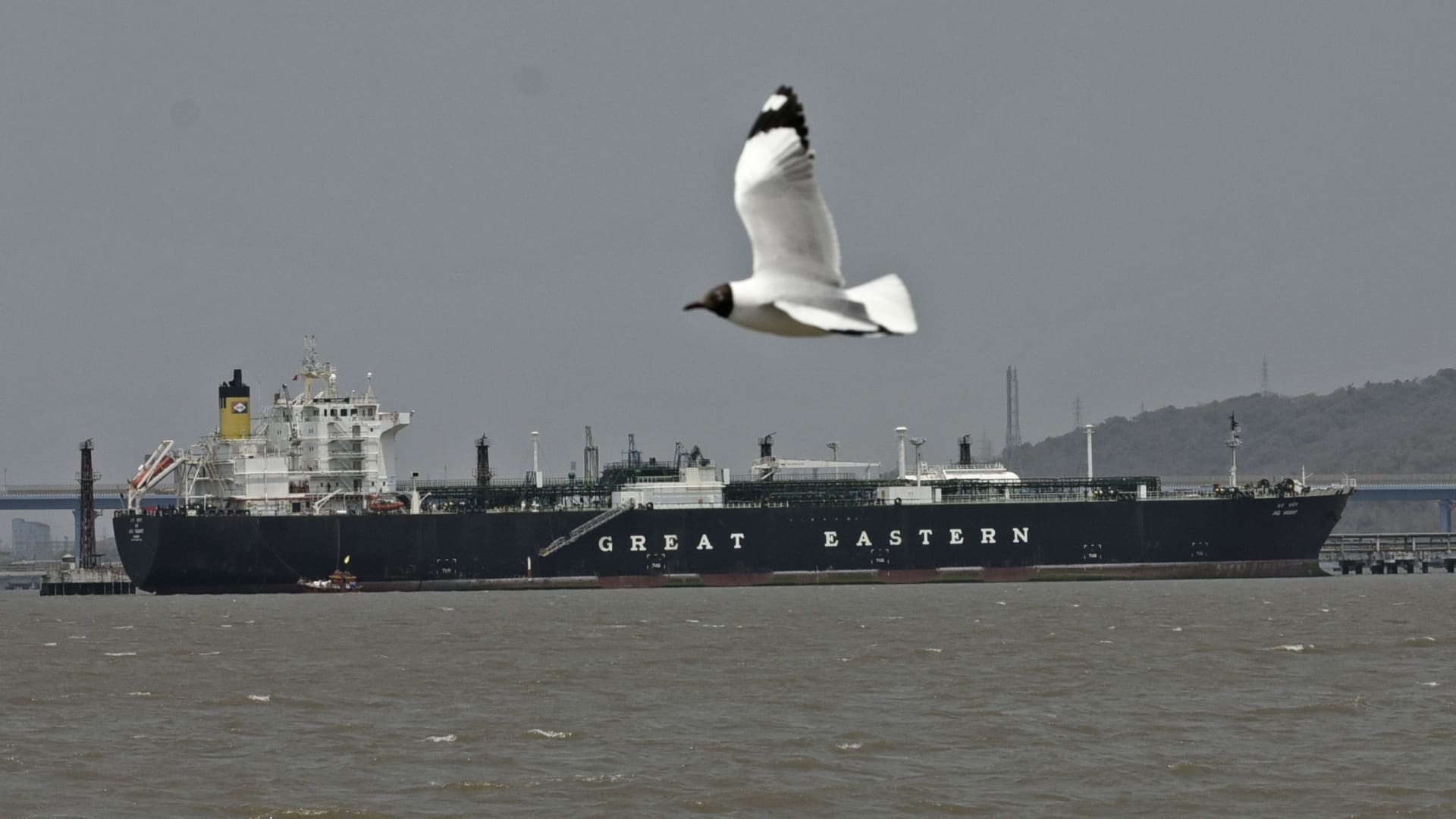 108290215 1776039247396 gettyimages 2268790745 aditya notitle260401 nplvM.jpeg