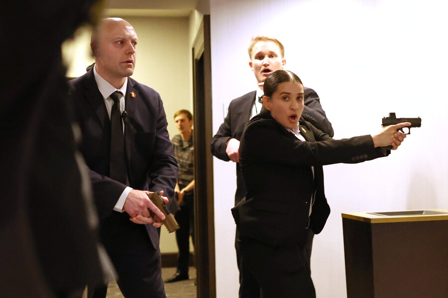 1210485 1 WHCD20secret20service standard.jpg