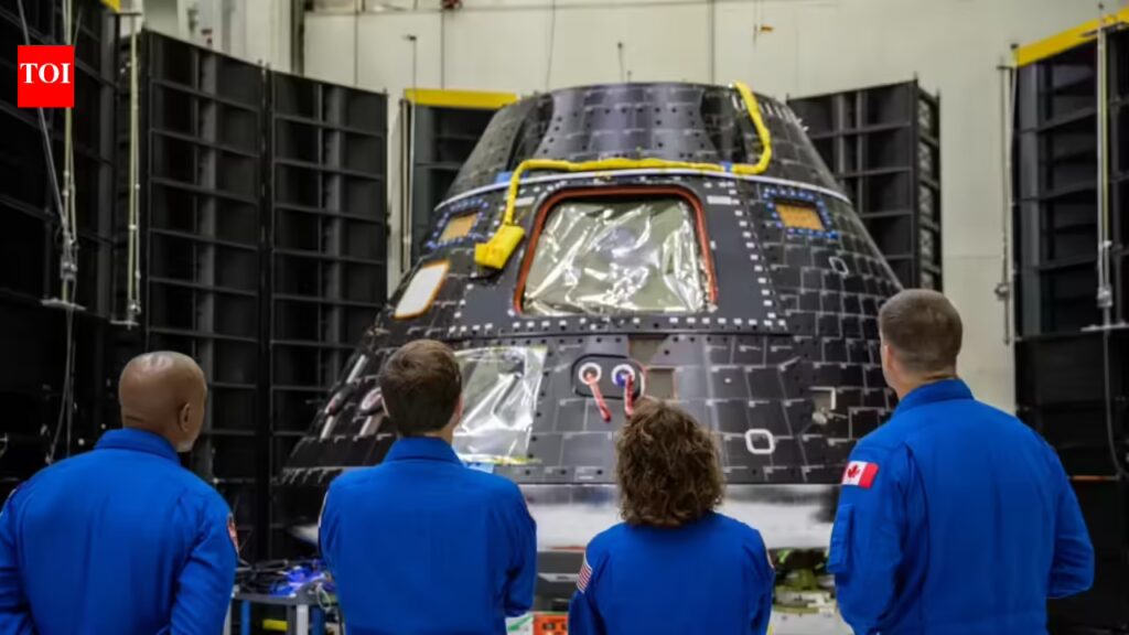 1775053015 photo.jpg