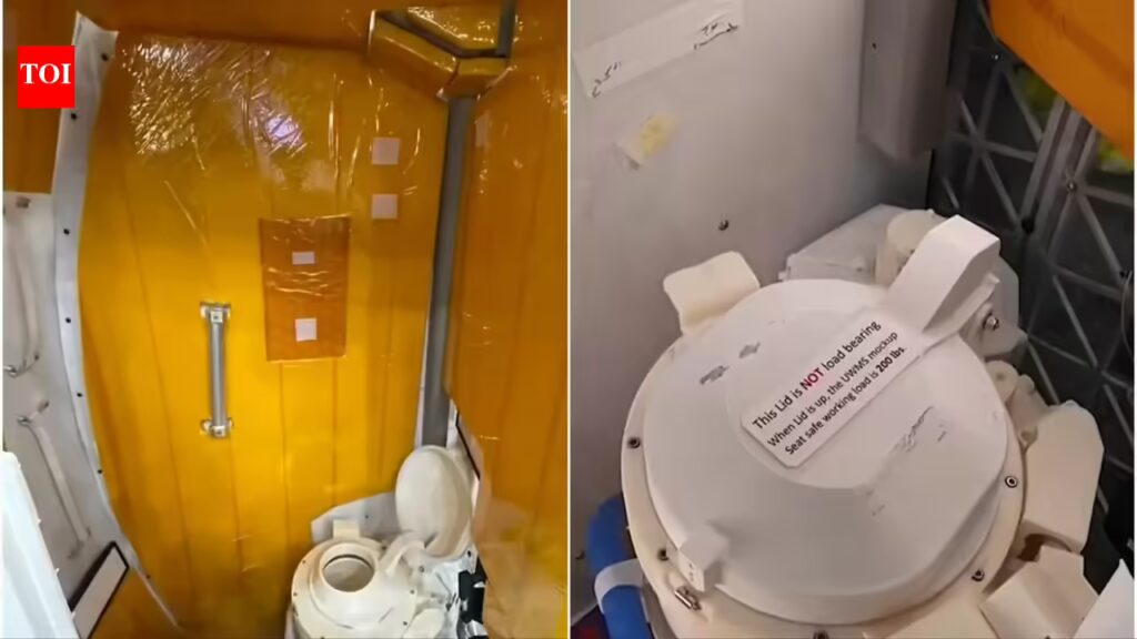 1775112796 photo.jpg