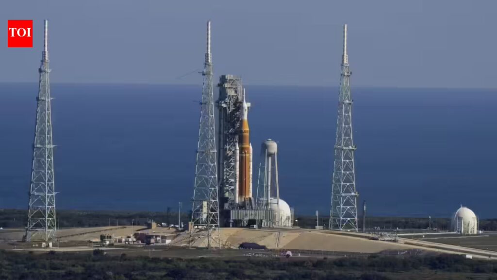 1775131169 photo.jpg