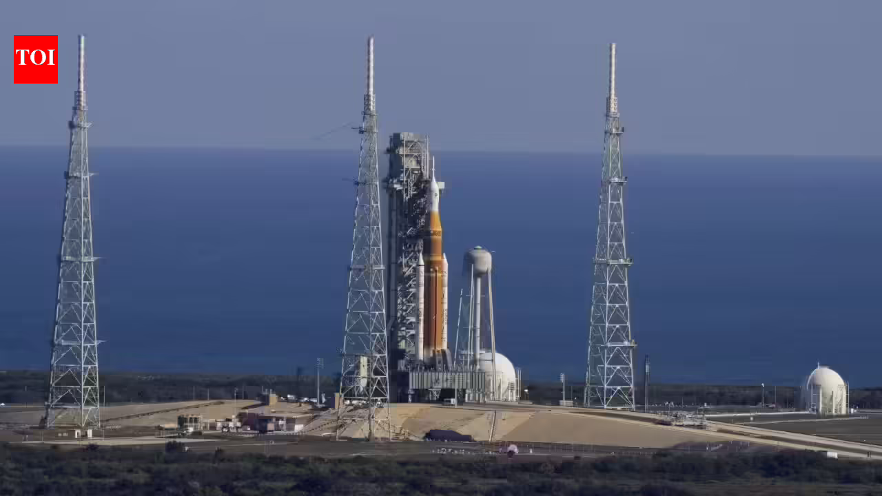 1775131169 photo.jpg