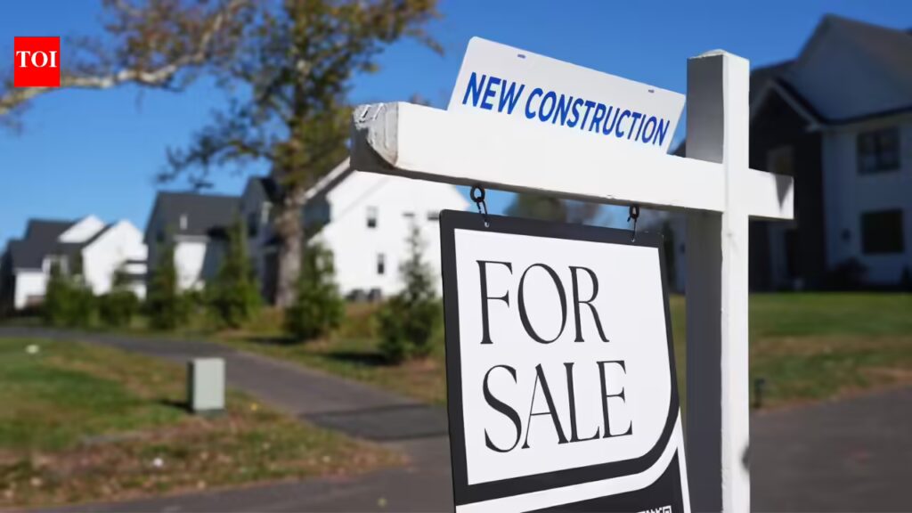 1775155463 photo.jpg