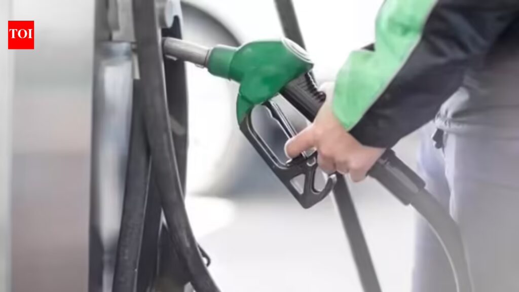 Pakistan Petrol Crisis: Petrol shock, free rides & more: How is Pakistan dealing with Hormuz energy crisis 1 1775285203 photo.jpg