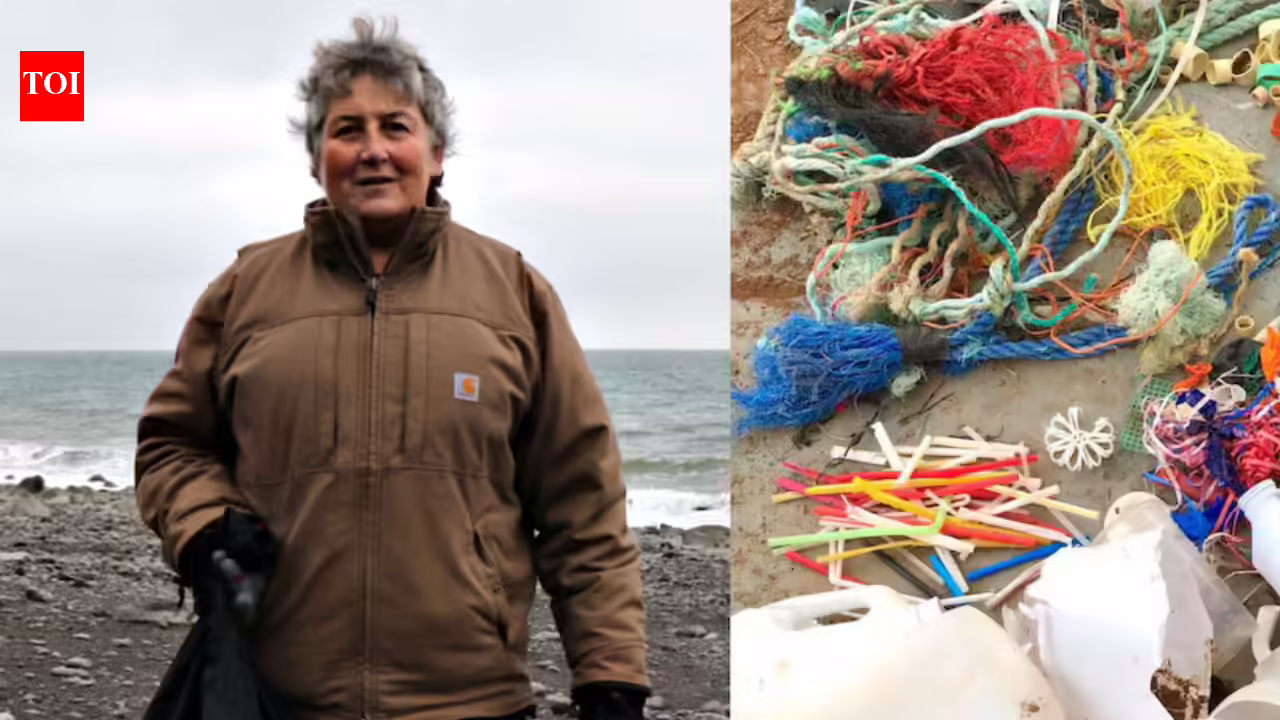 1775322691 photo.jpg