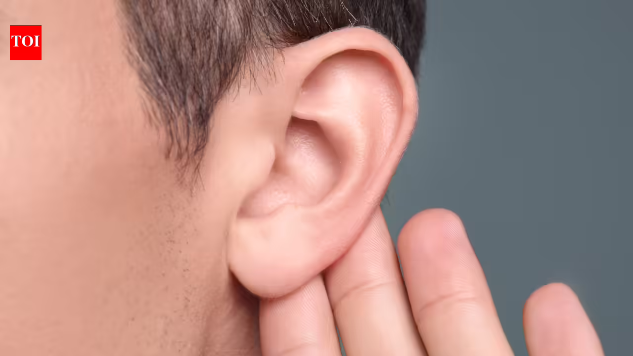 1775355126 photo.jpg