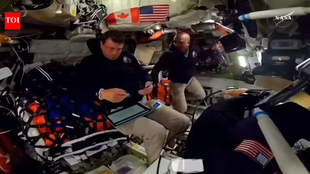 1775364269 photo.jpg