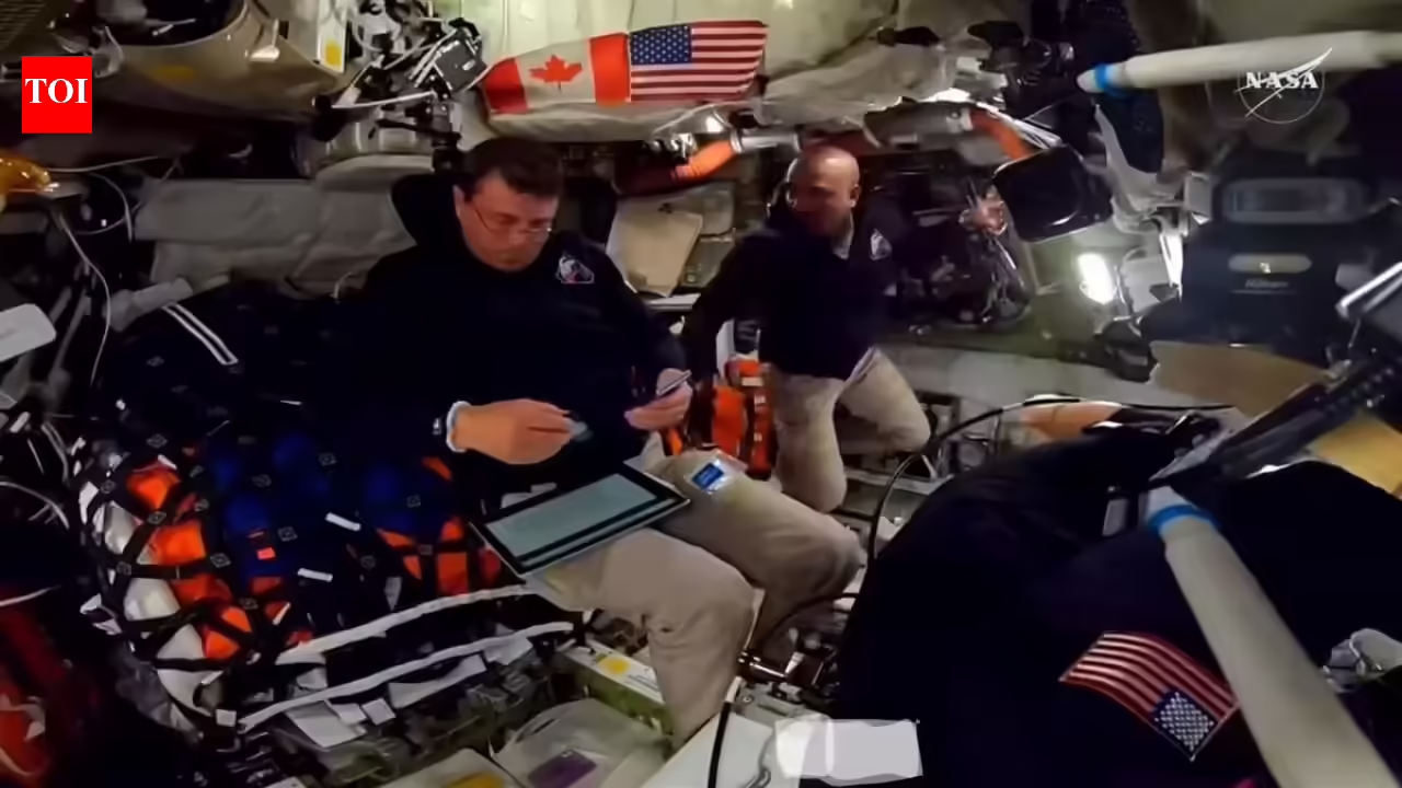 1775364269 photo.jpg