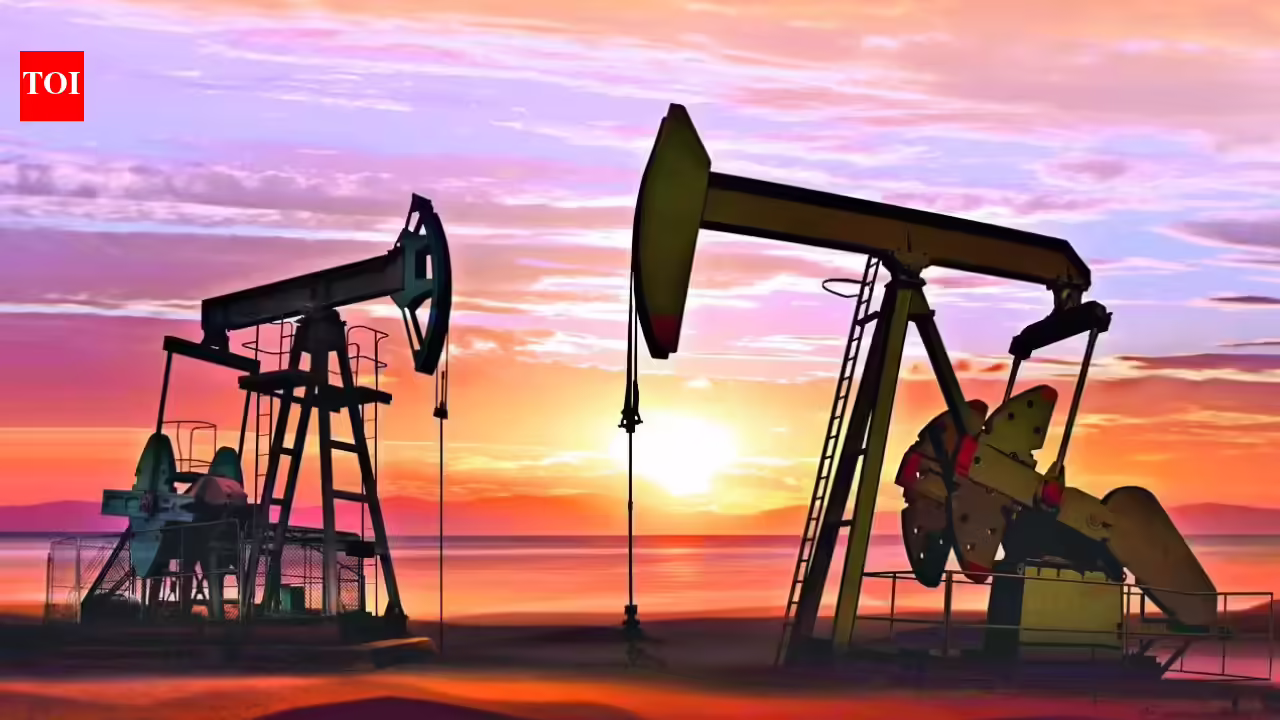 1775414631 photo.jpg