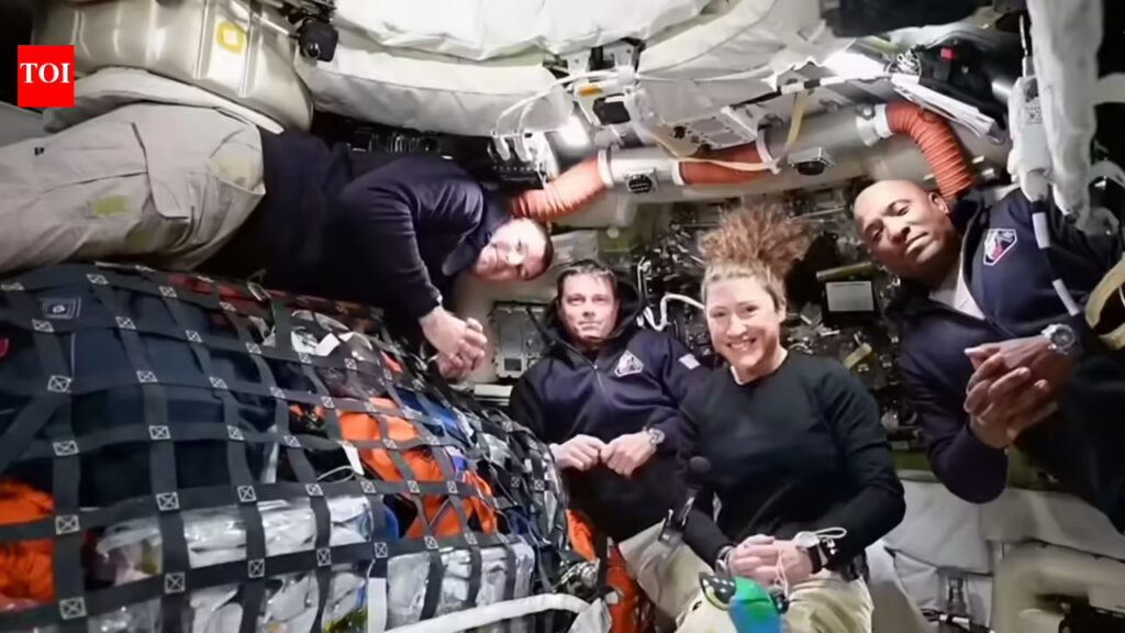 1775497531 photo.jpg