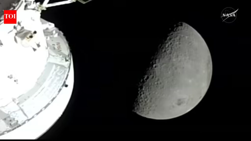 1775573170 photo.jpg