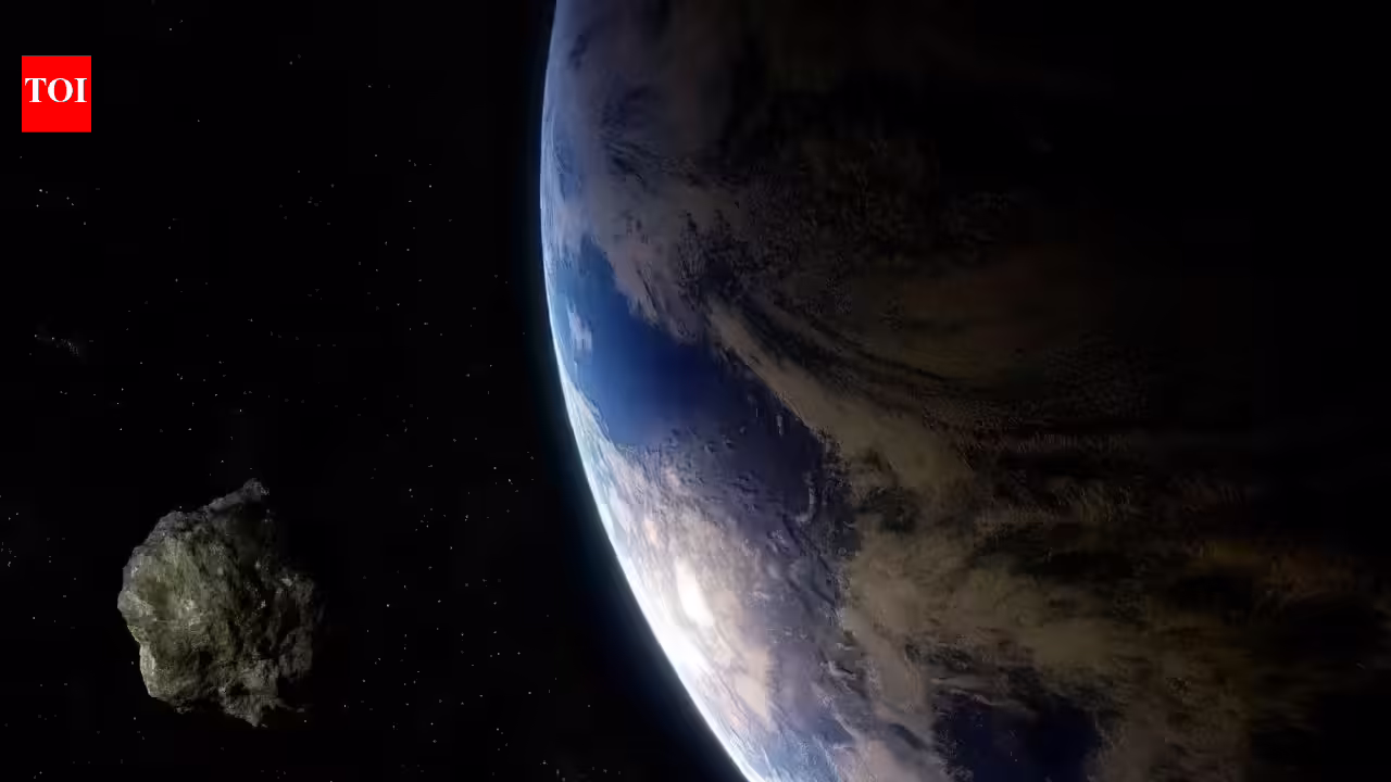 1775729415 photo.jpg