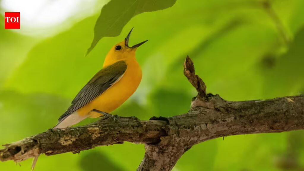 1775874180 photo.jpg