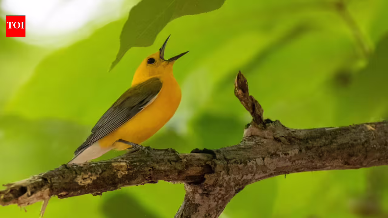 1775874180 photo.jpg