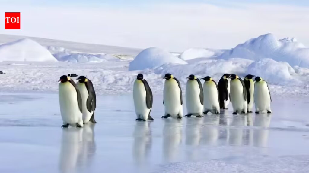 1776085008 photo.jpg