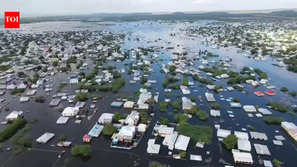 1776191180 photo.jpg