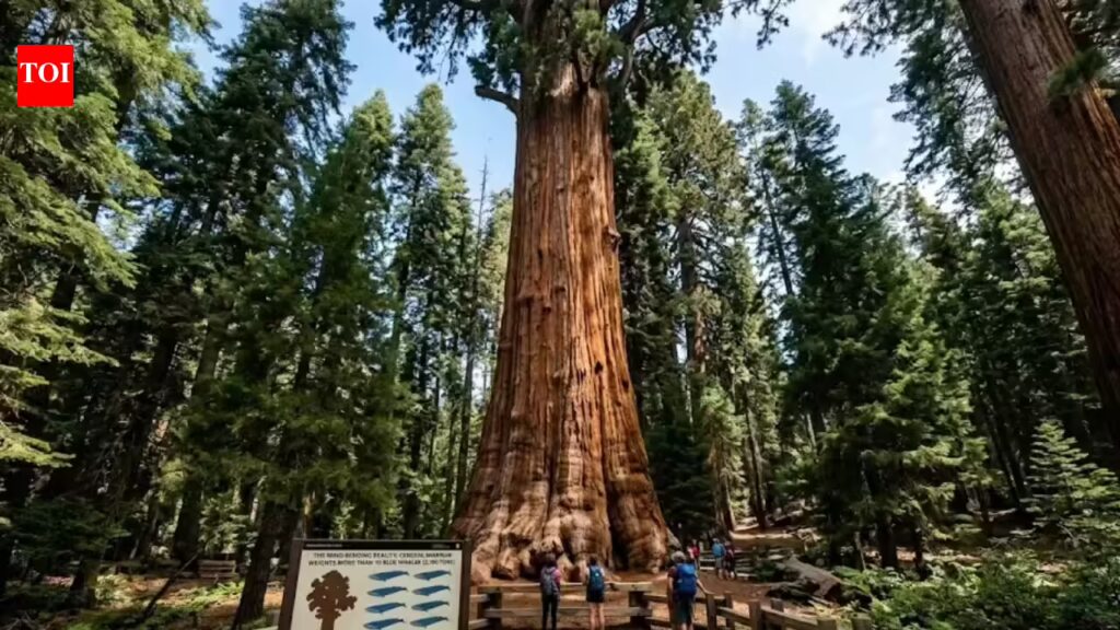 1776241636 photo.jpg