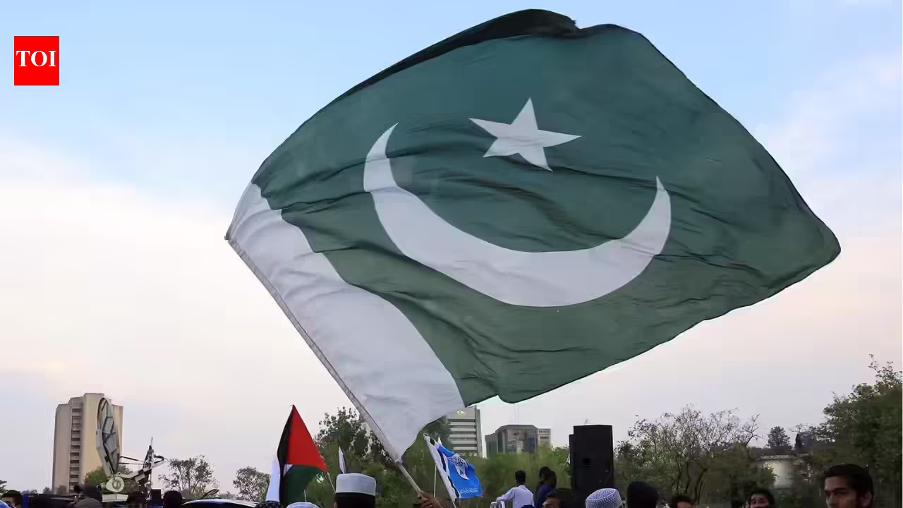 1776244015 photo.jpg