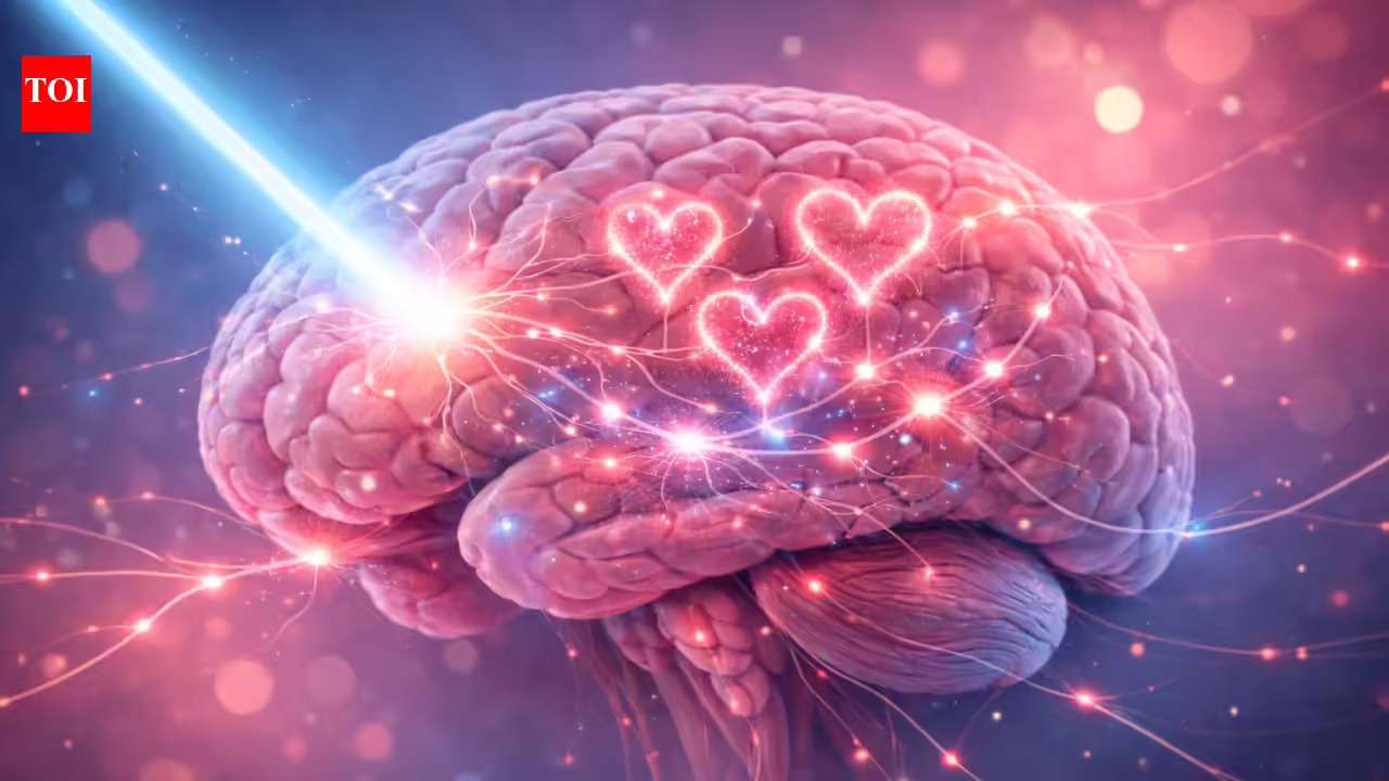 1776369742 photo.jpg